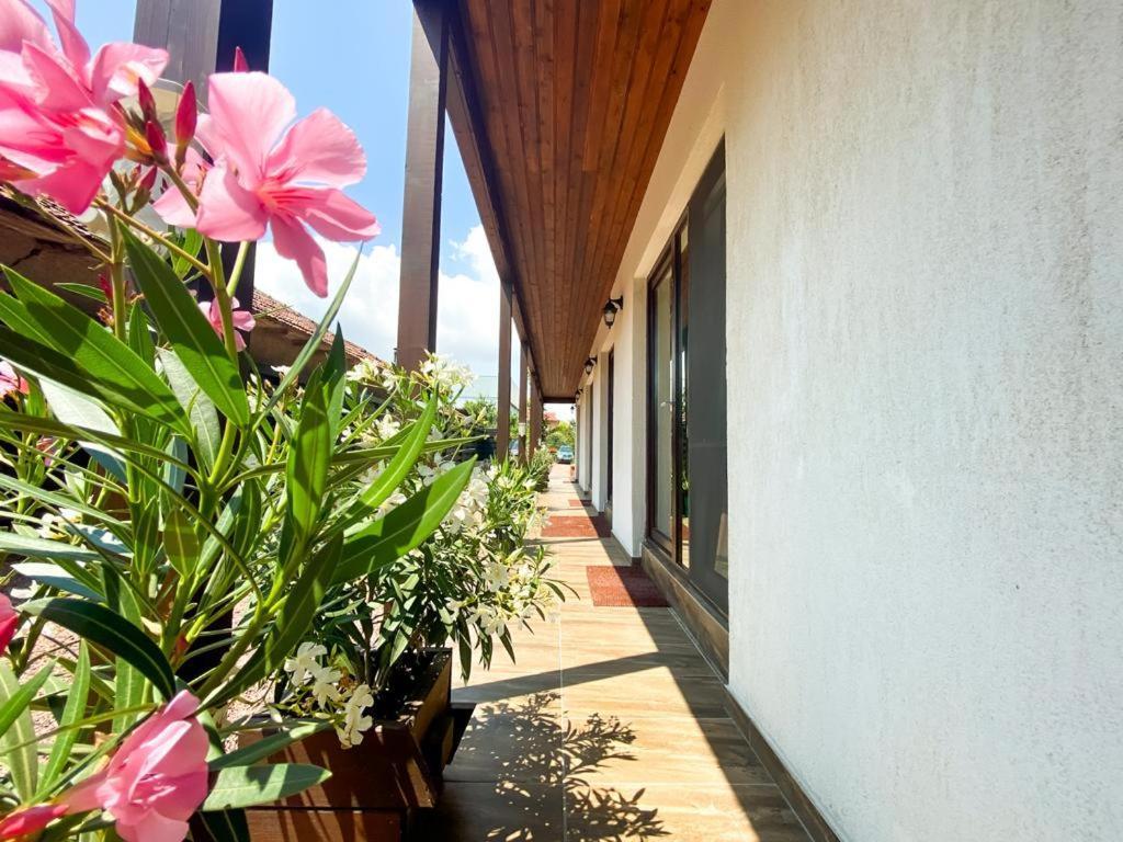 Casa Mura Două Mai Exterior foto